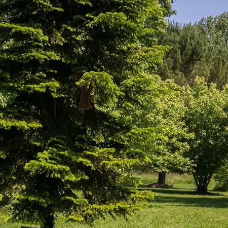 Holiday home Atypique Ancienne Gare D'issigeac,piscine Privee,petante,grand Terrain Issigeac